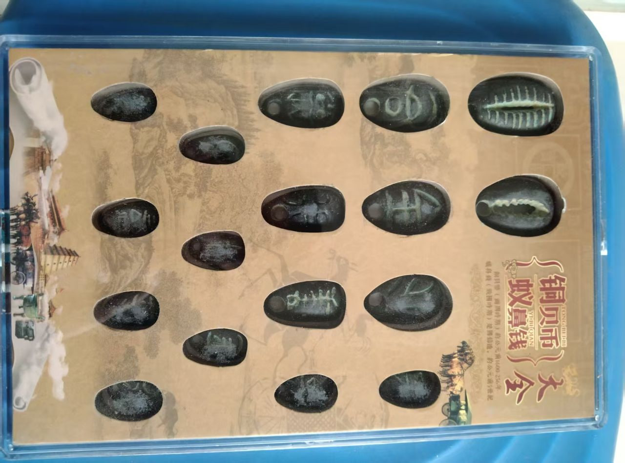 铜贝币蚁鼻钱大全